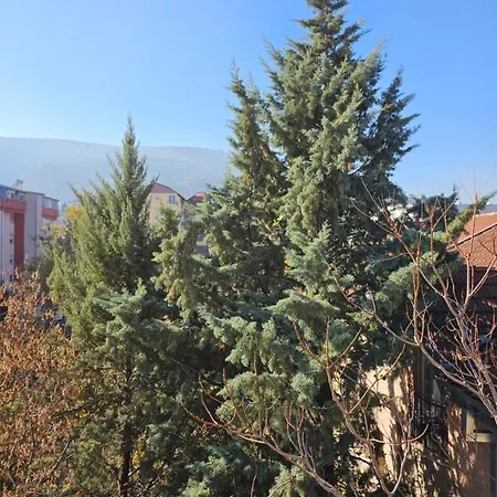 דירה Ddapartment